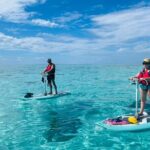 Private Excursion with E-Board in Moorea with snorkeling - What Makes This Tour Stand Out?