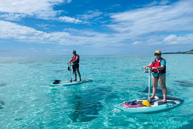 Private Excursion with E-Board in Moorea with snorkeling - What Makes This Tour Stand Out?