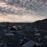 Private Exploration of The Snæfellsnes Peninsula - Authentic Experiences and Real Traveler Feedback