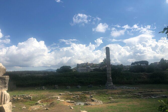 Private Express Ephesus Tour from Izmir Port / Cruisers only - Why This Tour Works for You