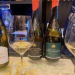 Private Exquisite Red & White Burgundy Wines Trip from Paris - The Full Experience: An In-Depth Review