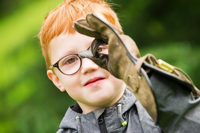 Private Family Bird of Prey Experience in Carlisle - Who Is This Tour Best For?