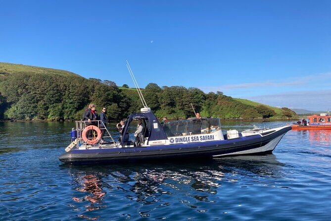Private family sea safari - The Practicalities and Pricing