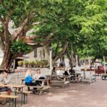 Private Family Walking Tour in Amsterdam - An In-Depth Look at the Amsterdam Family Tour