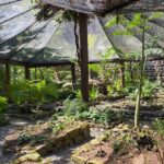 Private Fiji Tour - Practical Details and What You Should Know