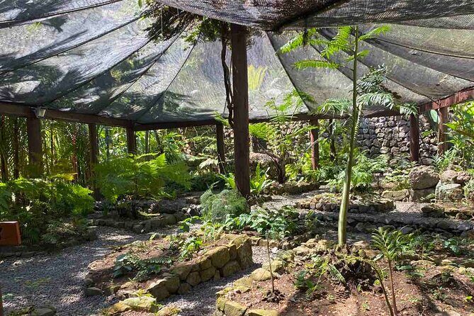 Private Fiji Tour - Practical Details and What You Should Know