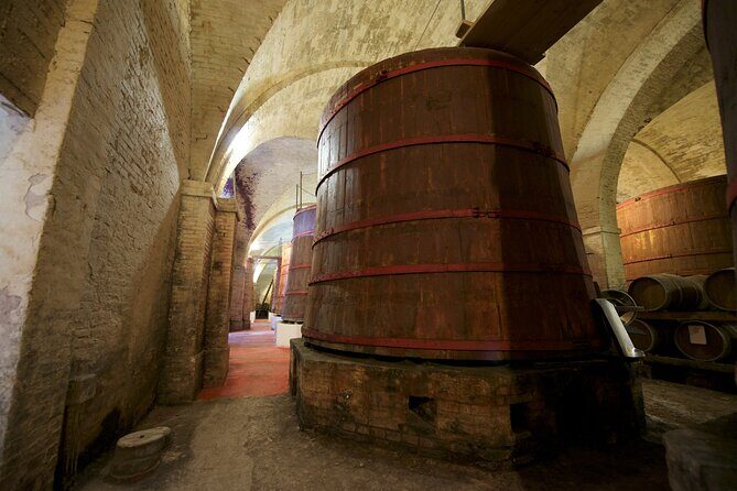 Private Food and Wine Tour in the Cellar with Tastings - Why This Tour Is a Great Pick