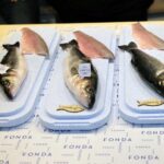 Private Fresh Fish Tasting Academy in Slovenia - Who Will Love This Tour?
