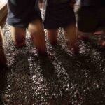 Private Full Day Douro Tour with Lunch - A Deep Dive into the Douro Experience