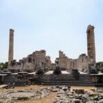 Private Full-Day Ephesus Tour with Miletus and Didyma for Cruise Guests - The Sum Up