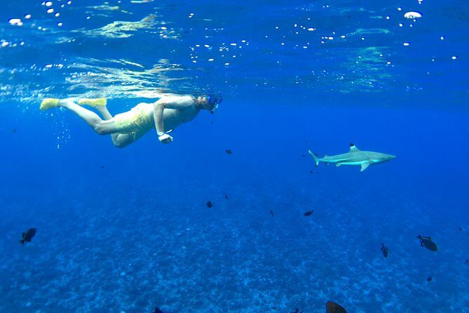 PRIVATE FULL DAY LAGOON TOUR - Bora Bora Cultural Lagoon Tour - FAQs
