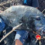 Private Full Day of GT Fishing - Who Will Love This Tour?