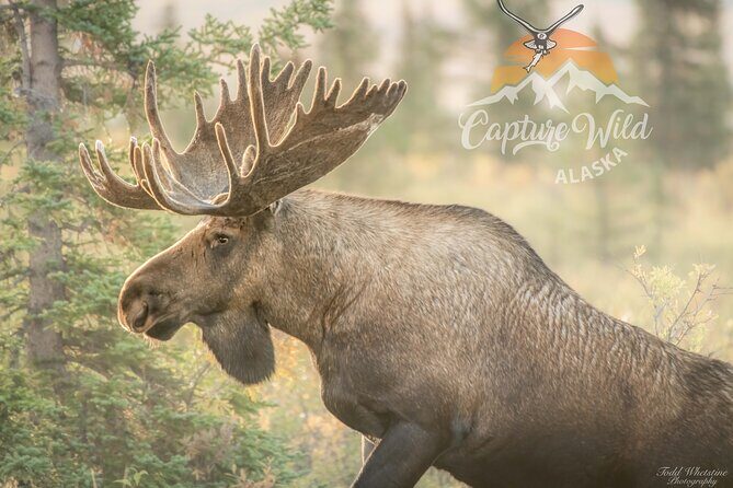 Private Full Day Photography Workshop of Fairbanks - Who Is This Tour Best For?