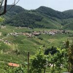 Private Full-Day Prosecco Wine Tour from Venice - FAQ
