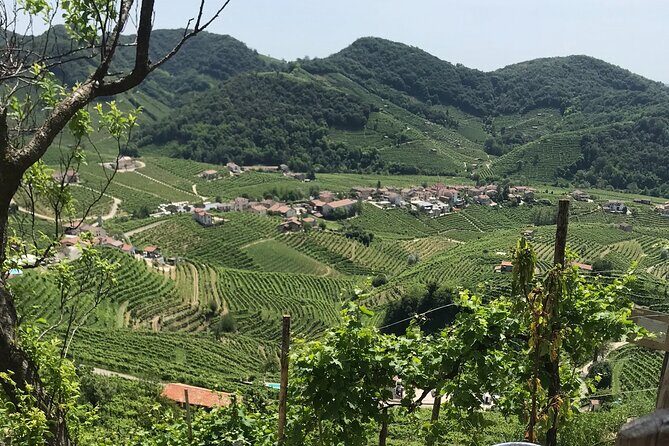 Private Full-Day Prosecco Wine Tour from Venice - FAQ
