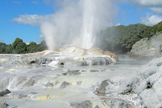 Private Full-Day Rotorua Tour from Auckland