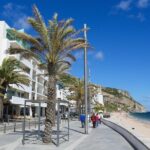 Private Full Day Tour Arrabida, Palmela, Azeitão and Sesimbra - The Sum Up