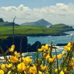 Private Full Day Tour From Killarney - Ring of Kerry/Skellig - The Sum Up