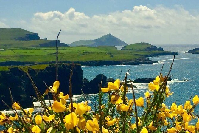Private Full Day Tour From Killarney - Ring of Kerry/Skellig - The Sum Up