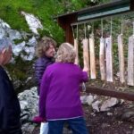 Private Full-Day Tour in Moraca and Tara Canyons, Durmitor & Biogradska Gora NP - Final thoughts