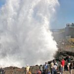 Private Full-Day Tour in Sydney - An In-Depth Look at the Full-Day Sydney Coastal Adventure