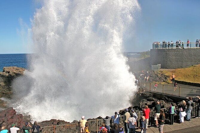 Private Full-Day Tour in Sydney - An In-Depth Look at the Full-Day Sydney Coastal Adventure