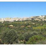 Private Full-Day Tour of Agrigento and Piazza Armerina - Practical Tips for Making the Most of This Tour