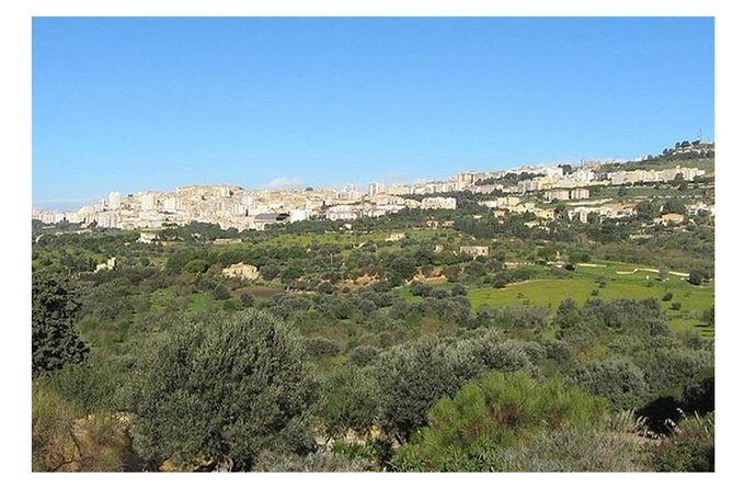 Private Full-Day Tour of Agrigento and Piazza Armerina - Practical Tips for Making the Most of This Tour
