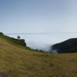 Private Full-Day Tour of North Coast and Laurissilva Forest - Key Highlights of the Tour