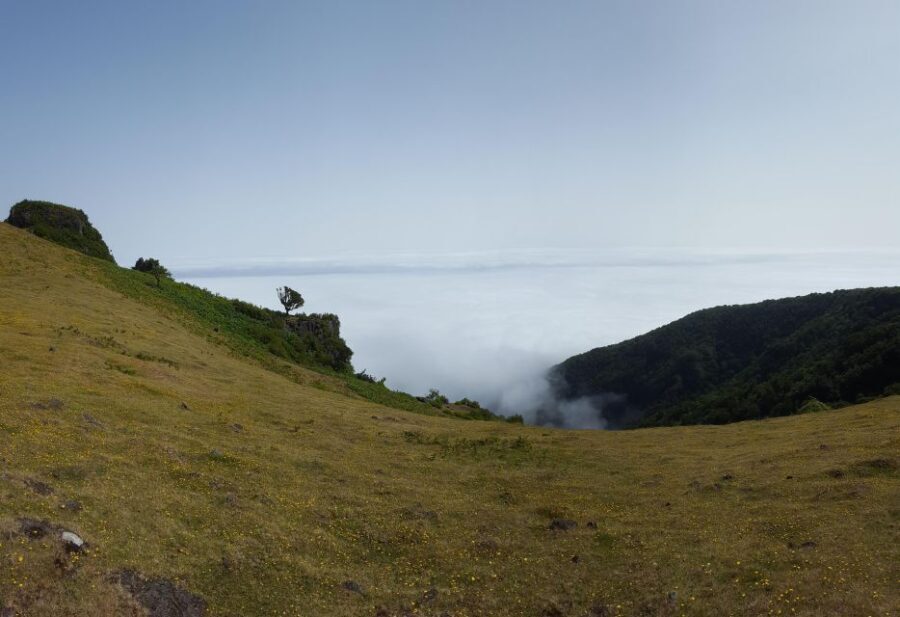 Private Full-Day Tour of North Coast and Laurissilva Forest - Key Highlights of the Tour