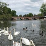 Private Full-Day Tour of Shakespeare's Stratford-Upon-Avon - What the Experience Means for You