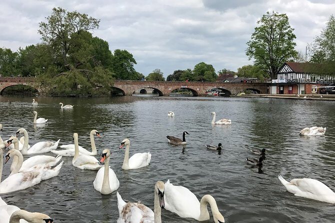 Private Full-Day Tour of Shakespeare's Stratford-Upon-Avon - What the Experience Means for You