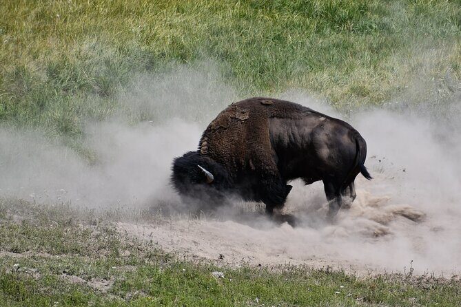 Private Full Day Tour of Yellowstone's Natural Wonders - Final Thoughts: Is This Tour Right for You?