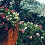 Private full day tour to Capri with grottos - FAQ