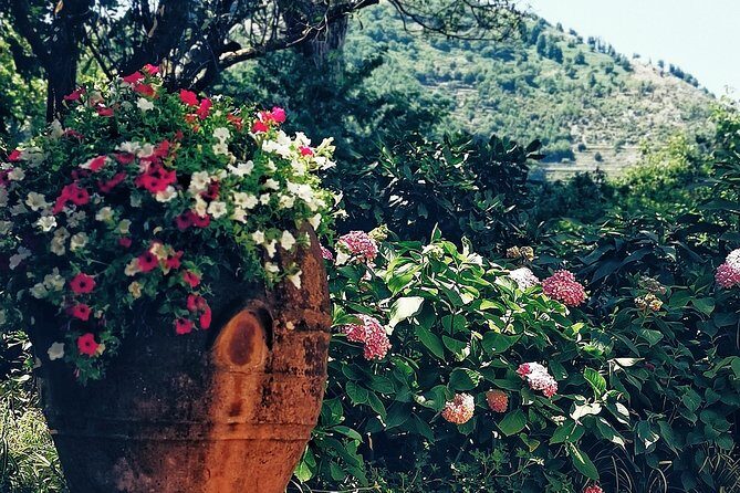 Private full day tour to Capri with grottos - FAQ