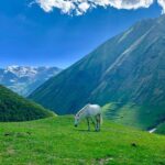 Private Full-Day Tour to Mtskheta and Kazbegi(stepantsminda) from Tbilisi - Who Should Consider This Tour?
