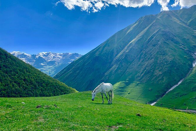 Private Full-Day Tour to Mtskheta and Kazbegi(stepantsminda) from Tbilisi - Who Should Consider This Tour?
