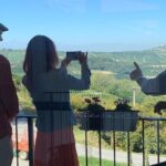 Private Full Day tour with fellow foodie as your guide - Authenticity, Value, and Who Should Book