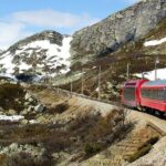 Private Full Day Trip From Oslo To Bergen with Sognefjord And Flam Railway - Authentic Traveler Perspectives
