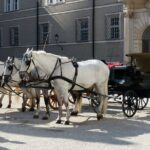 Private full day trip to Salzburg from Vienna - driver only - Who Should Consider This Tour?