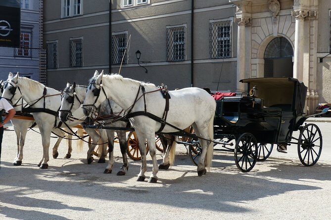 Private full day trip to Salzburg from Vienna - driver only - Who Should Consider This Tour?