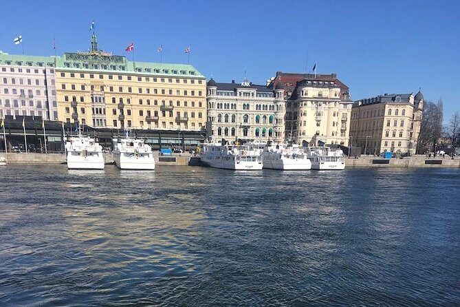 Private full day VIP city tour by limousine car in Stockholm - Who Should Consider This Tour?