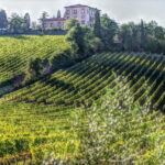 PRIVATE Full-Day Wine Experience in Chianti Classico. - The Full, Honest Review of the Chianti Full-Day Private Tour