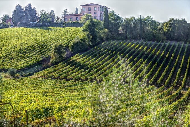 PRIVATE Full-Day Wine Experience in Chianti Classico. - The Full, Honest Review of the Chianti Full-Day Private Tour