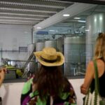 Private Full Day Wine Tasting Tour from Lisbon to Setubal - What Travelers Are Saying