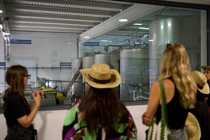 Private Full Day Wine Tasting Tour from Lisbon to Setubal - What Travelers Are Saying