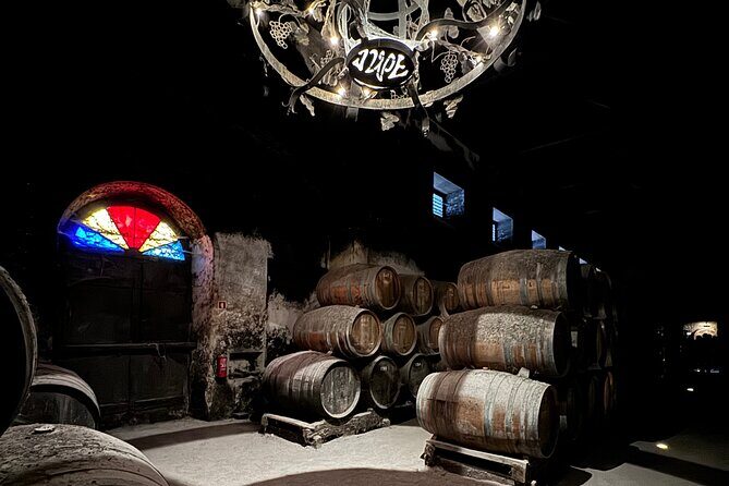 Private Full-Day Wine Tour Arrábida from Lisbon with Tastings - Practicalities and Tips