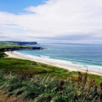 Private Giant's Causeway and Antrim Coast Tour - An In-Depth Look: What to Expect from the Private Causeway Coast Tour