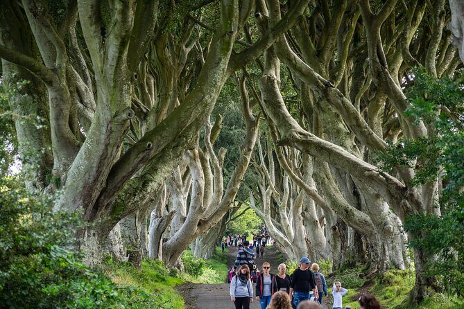 Private Giants Causeway Tour From Belfast - The Stops: Natural Wonders and Historic Sites