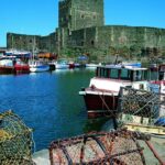 Private Giants Causeway Tour Tour For Up to 15 People - Who Will Benefit Most?